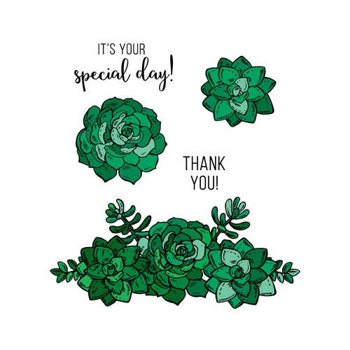 Technique Tuesday - Greenhouse Society Collection - Clear Acrylic Stamps - Sweet Succulents