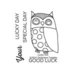 Technique Tuesday - Clear Acrylic Stamps - Lucky Owl