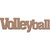 Leaky Shed Studio - Sport Collection - Chipboard Words - Volleyball