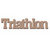 Leaky Shed Studio - Sport Collection - Chipboard Words - Triathlon