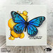 Visible Image - Clear Photopolymer Stamps - Butterfly Effect