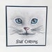 Visible Image - Clear Acrylic Stamps - Curious Cats