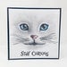 Visible Image - Clear Photopolymer Stamps - Curious Cats