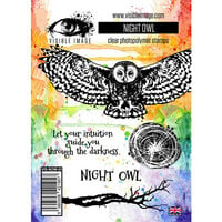 Visible Image - Clear Photopolymer Stamps - Night Owl