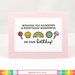 Waffle Flower Crafts - Clear Photopolymer Stamps - Rainbows