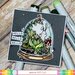 Waffle Flower Crafts - Clear Photopolymer Stamps - Tiny Terrarium