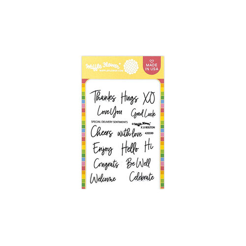 Waffle Flower Crafts - Clear Photopolymer Stamps - Special Delivery Sentiments