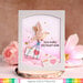 Waffle Flower Crafts - Clear Photopolymer Stamps - Little Birdie Sentiments