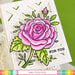 Waffle Flower Crafts - Stencils - Sketched Rose