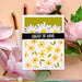 Waffle Flower Crafts - Stencils - Daisy Background