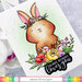 Waffle Flower Crafts - Craft Dies and Clear Photopolymer Stamp Set - Rejoice Rabbit