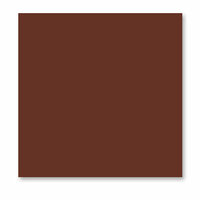 WorldWin - ColorMates - 12 x 12 Cardstock Pack - 50 Sheets - Deep Autumn Red, CLEARANCE