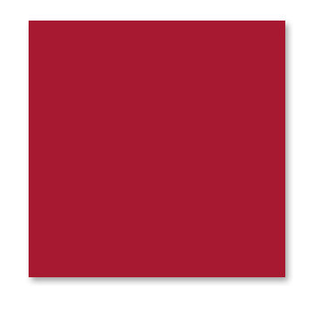 WorldWin - ColorMates - 12 x 12 Cardstock Pack - 50 Sheets - Dark Berry Red, CLEARANCE