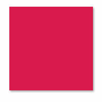 WorldWin - ColorMates - 12 x 12 Cardstock Pack - 50 Sheets - Light Berry Red, CLEARANCE