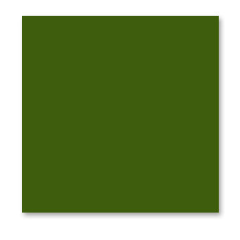 WorldWin - ColorMates - 12 x 12 Cardstock Pack - 50 Sheets - Deep Spring Green
