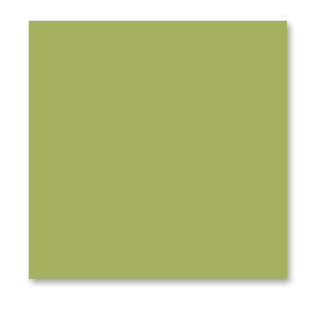 WorldWin - ColorMates - 12 x 12 Cardstock Pack - 50 Sheets - Dark Spring Green, CLEARANCE
