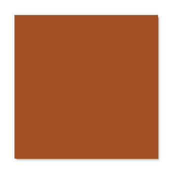 WorldWin - ColorMates - 12 x 12 Cardstock Pack - 50 Sheets - Deep Terra Cotta, CLEARANCE