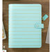 Websters Pages - Color Crush Collection - A5 Planner Kit - Ice Blue with Gold Stripe - Undated