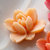 Websters Pages - Whimsies - Resin Embellishment Pieces - Lotus Flower Blooms - Peach