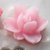 Websters Pages - Whimsies - Resin Embellishment Pieces - Lotus Flower Blooms - Pink