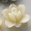 Websters Pages - Whimsies - Resin Embellishment Pieces - Lotus Flower Blooms - Ivory