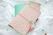 Websters Pages - Color Crush Collection - Travelers Planner - Blush and Gold Foil Dot