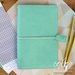 Websters Pages - Color Crush Collection - Travelers Planner - Mint