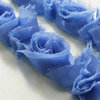 Websters Pages - Bloomers - Flower and Trim Ribbons - Blue - 7.5 Yards