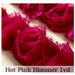 Websters Pages - Bloomers - Flower and Trim Ribbons - Pink