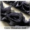 Websters Pages - Bloomers - Flower and Trim Ribbons - Grey