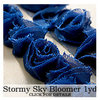 Websters Pages - Bloomers - Flower and Trim Ribbons - Stormy Sky