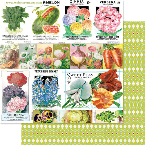 Websters Pages - Strawberry Fields Collection - 12 x 12 Double Sided Paper - Grow with Me