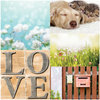 Websters Pages - Nest Collection - 12 x 12 Vellum - At Home