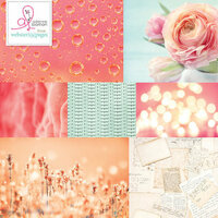 Websters Pages - Beautiful Chic Collection - 12 x 12 Vellum - III