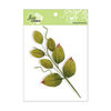Zva Creative - Arboretums Collection - Branch with Leaves