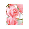 Zva Creative - 1.25 Inch Paper Roses - Bulk - Pink, CLEARANCE