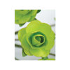 Zva Creative - 1.25 Inch Paper Roses - Bulk - Lime, CLEARANCE