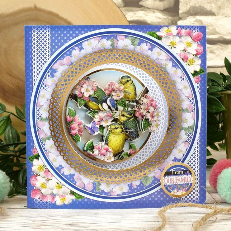 Hunkydory Decoupage Card Kit Delightful Birds