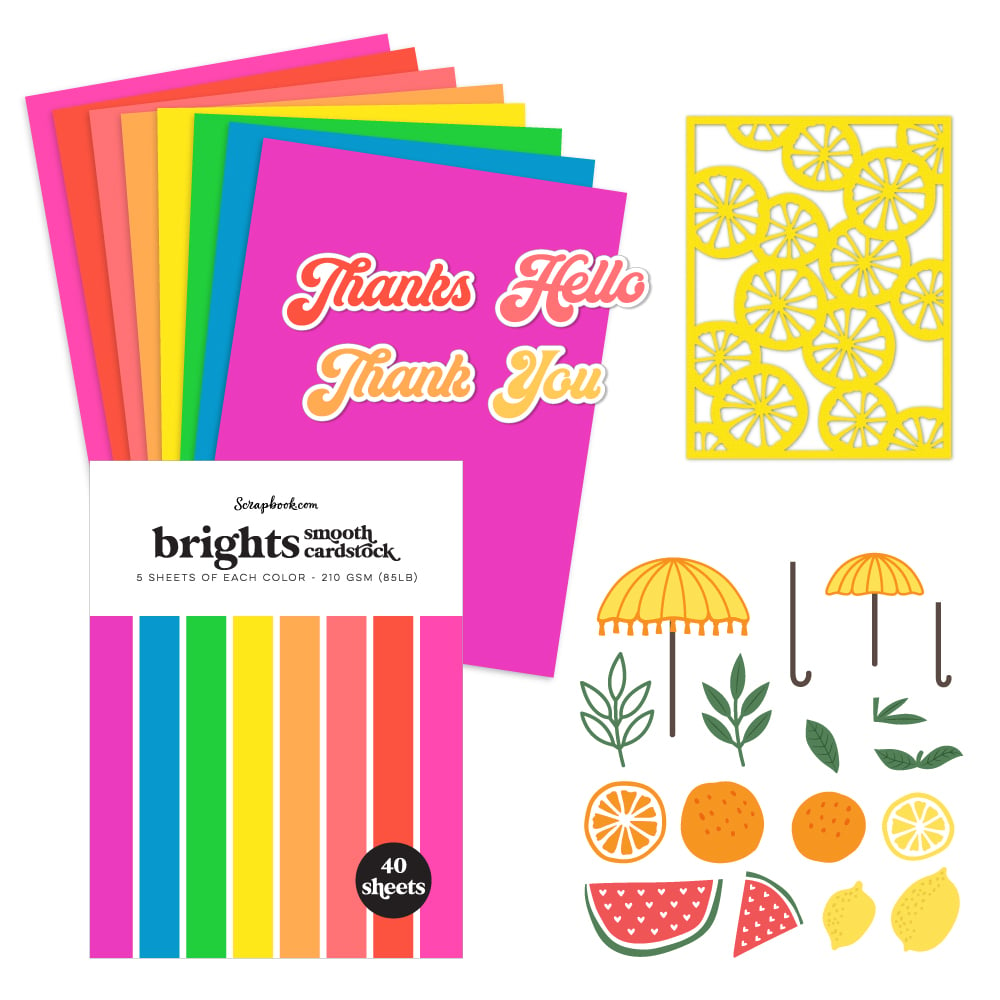 Fruit Slices Bundle