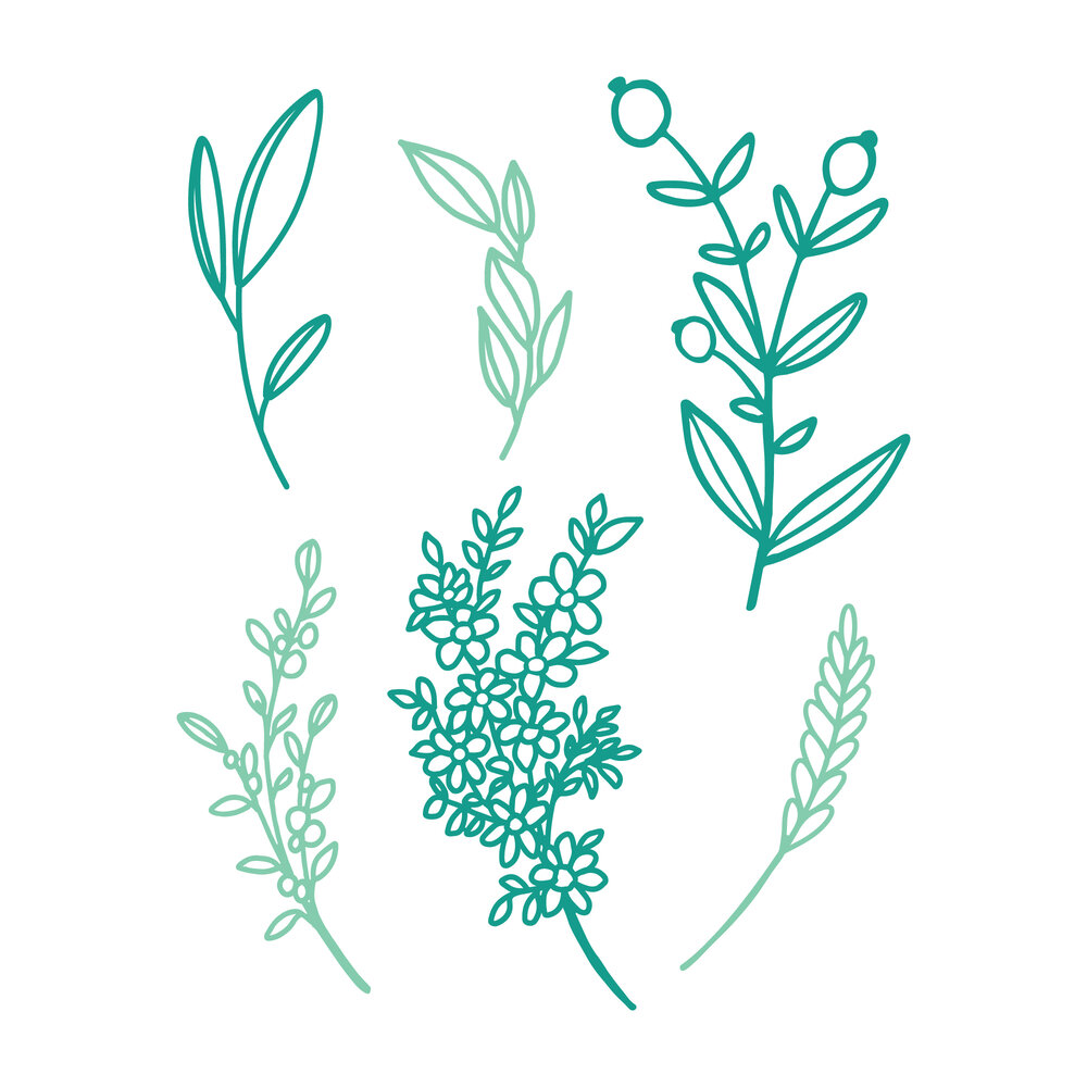 SBC Fest 2022 Class Essentials Jamie Pate