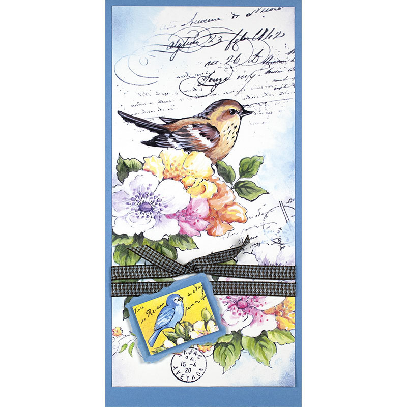 Stampendous Juego De Sellos Transparentes Forest Path