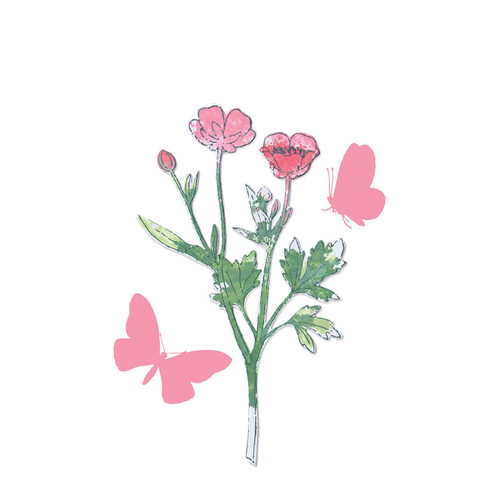 Sizzix - 49 & Market - Painted Pencil Botanical Stamp/Die Set