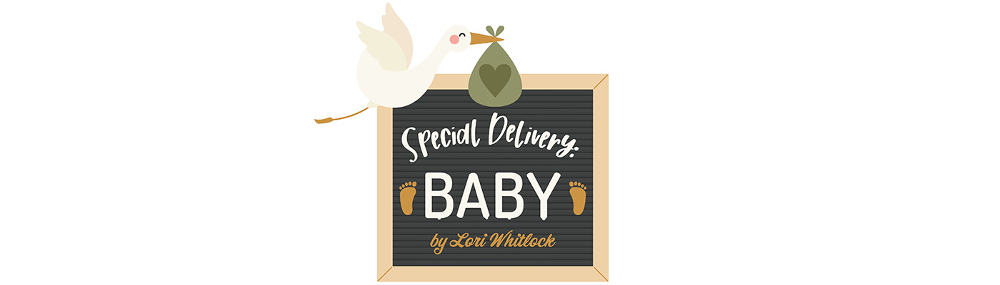 Cardstock Echo Park Special Deliver Baby